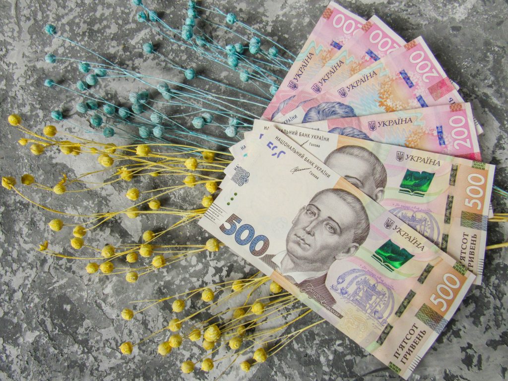Bank notes lay on yellow and blue dried flowers. 