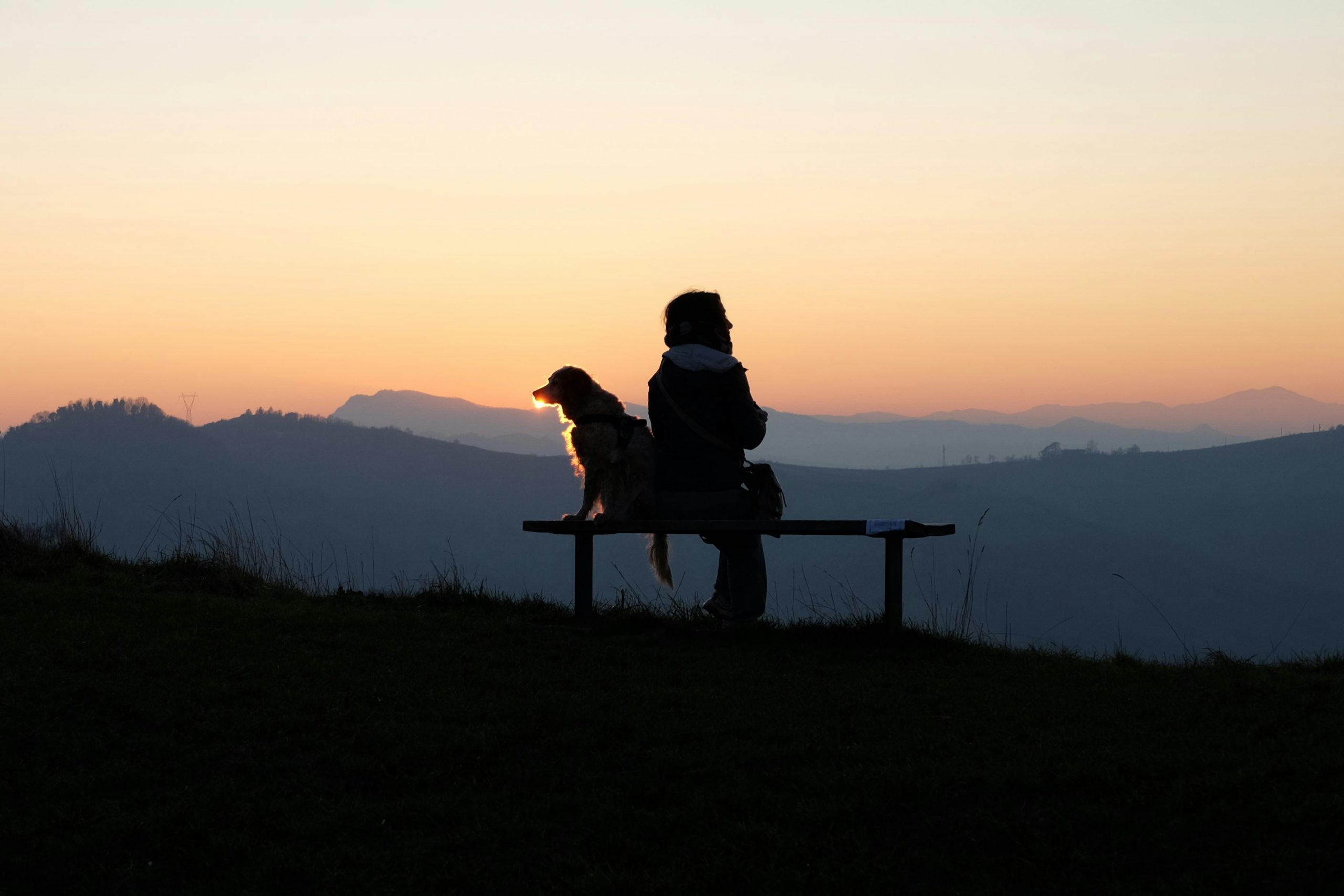 A woman and dog sit on a bench in front of an orange sunset